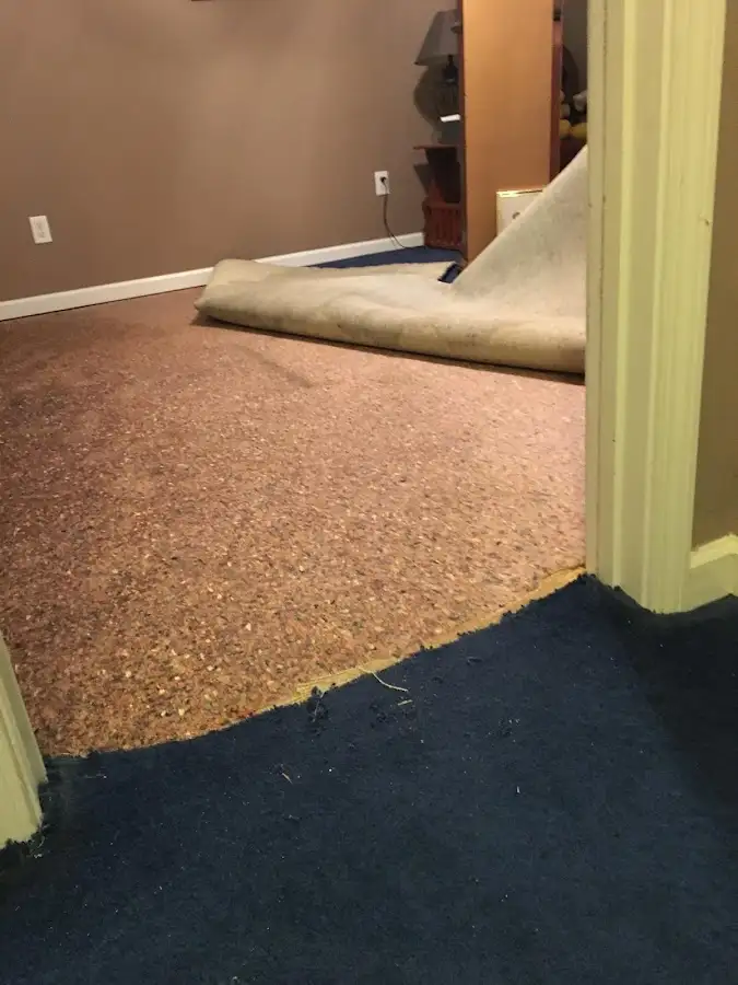 Carpet pad removal revealing water damage during Drying & Dehumidification in Rolling Meadows