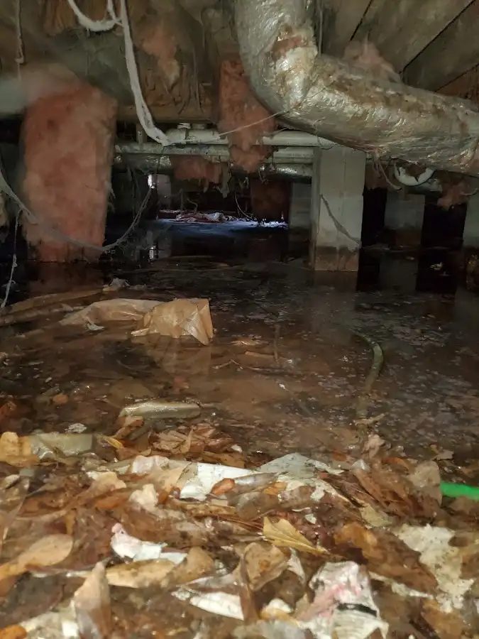Crawl space flood assessment for Leak Detection & Repair in Rolling Meadows