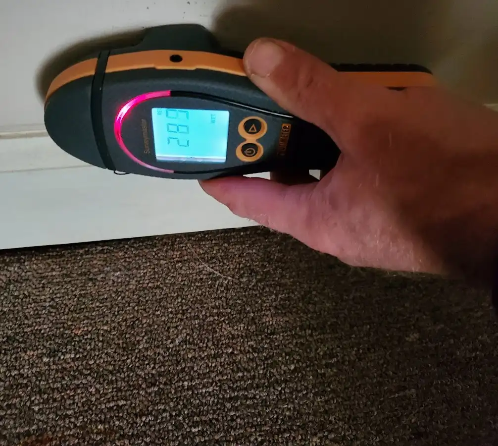 Moisture detection at baseboard during Mold Inspection & Testing in Rolling Meadows
